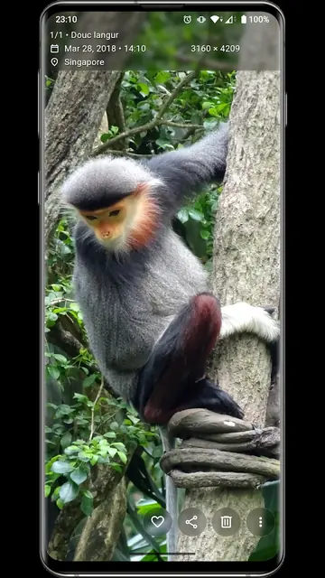 Screenshot 2 von Aves