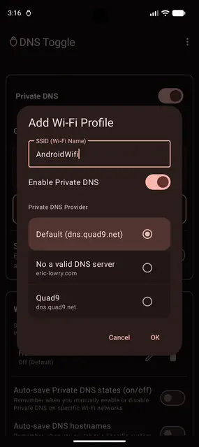Screenshot 4 of DNS Toggle