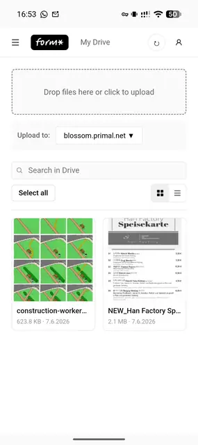 Screenshot 1 of Drive by Form*(Experimental)