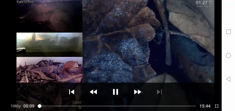 Screenshot 3 von Fedilab