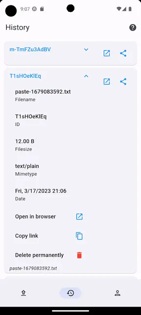 Screenshot 4 von FileBin