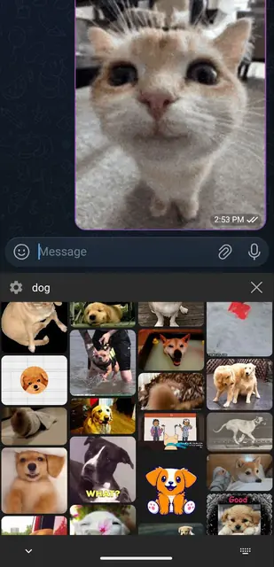 Screenshot 4 von GifBoard