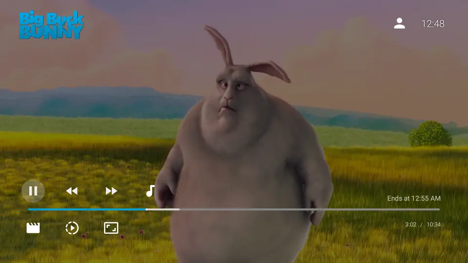 Screenshot 2 of Jellyfin for Android TV