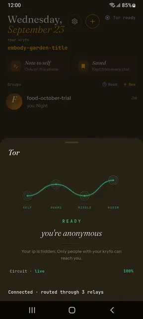 Screenshot 4 von Kryfo