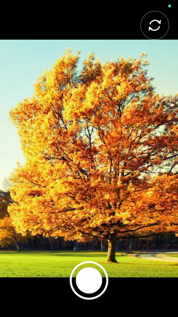 Screenshot 1 of Lomo Camera