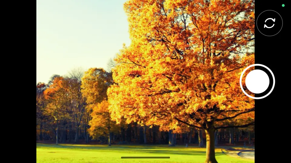 Screenshot 2 of Lomo Camera