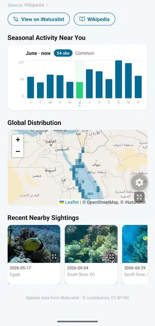 Screenshot 3 von Marlin