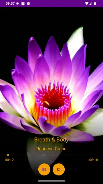 Screenshot 4 von Mindfulness Meditation