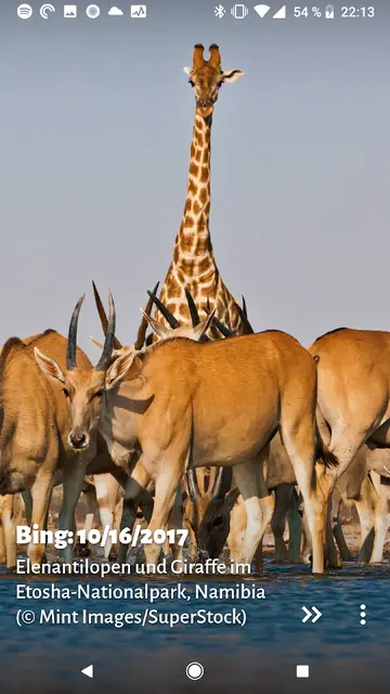 Screenshot 3 of Muzei - Bing Image of the Day