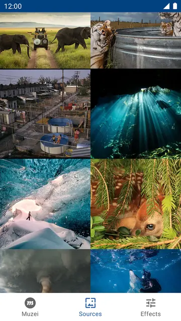 Screenshot 2 von National Geographic for Muzei