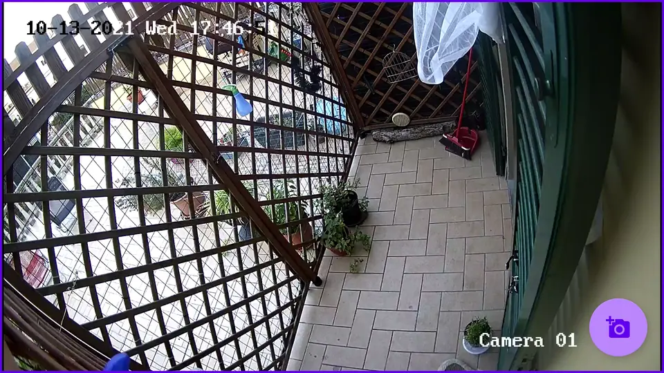 Screenshot 2 von Ojo RTSP IP Camera viewer