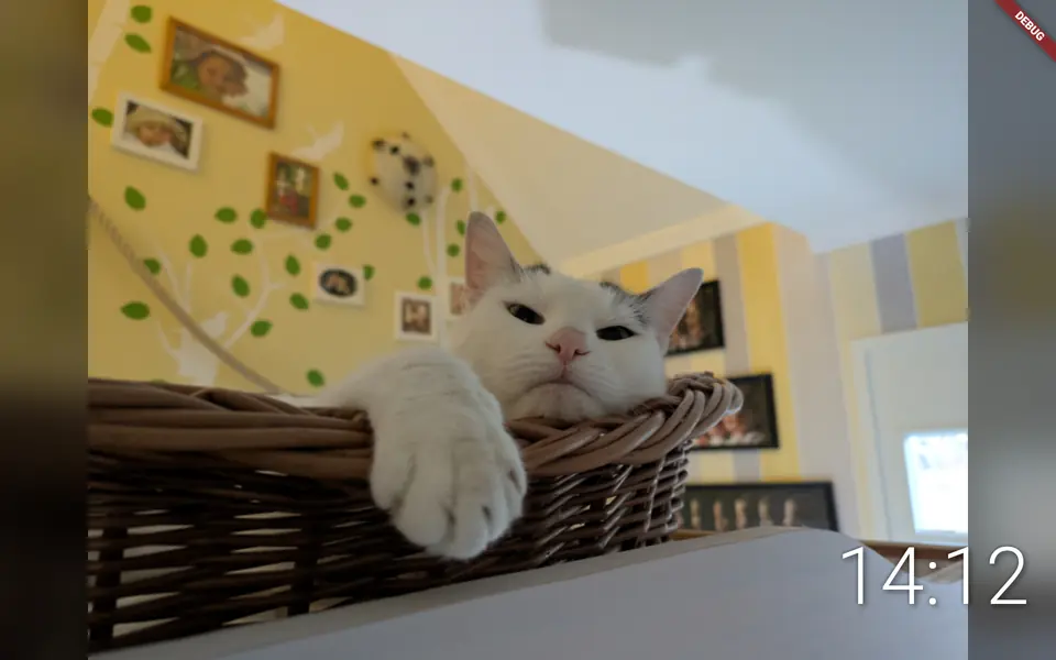 Screenshot 1 of OpenPhotoFrame