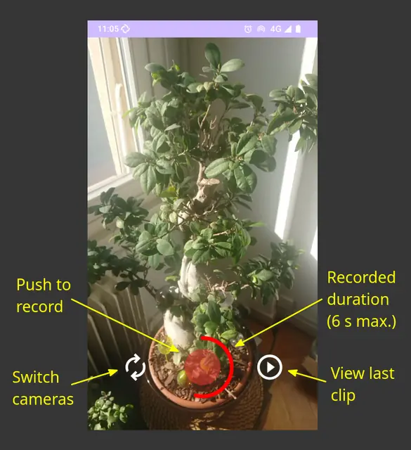 Screenshot 1 von OpenVine