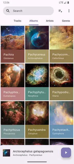 Screenshot 2 of Phocid