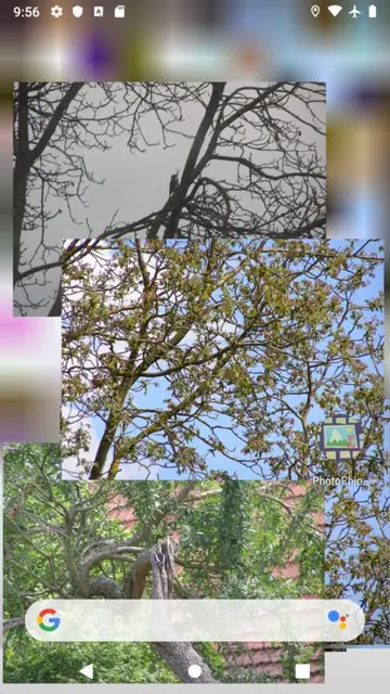 Screenshot 4 von PhotoChiotte