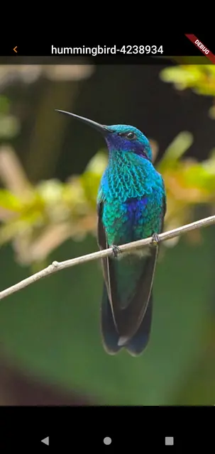 Screenshot 3 of Piwigo NG