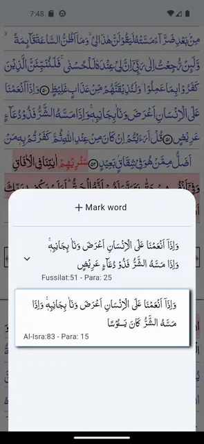 Screenshot 4 of Quran Revision Companion