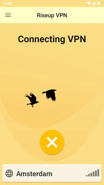 Screenshot 2 of RiseupVPN
