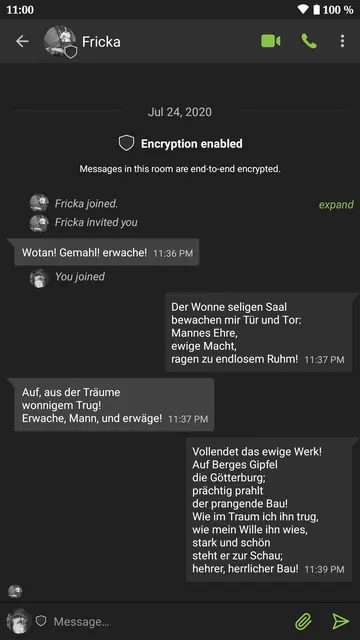 Screenshot 4 von SchildiChat Legacy