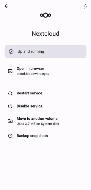 Screenshot 4 von SelfPrivacy