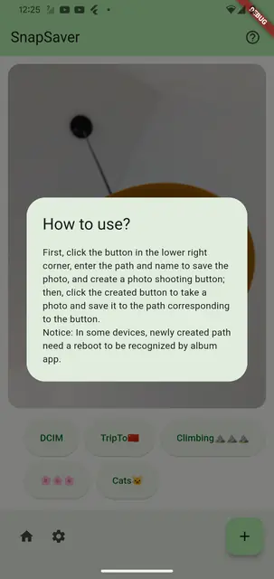 Screenshot 2 von SnapSaver