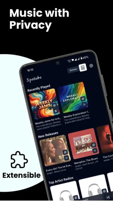 Screenshot 1 of Spotube