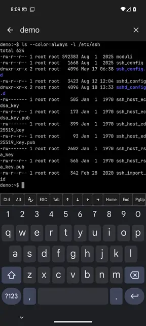 Screenshot 1 von SSHBorg