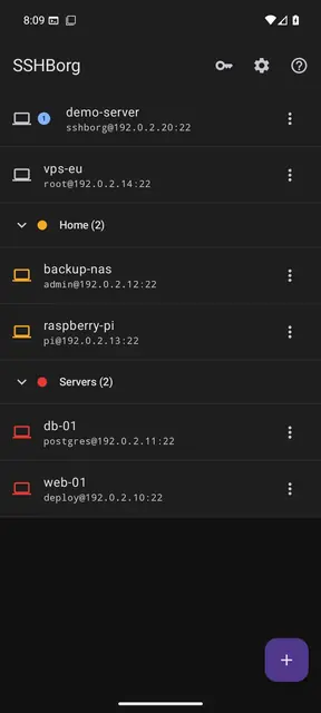 Screenshot 2 von SSHBorg