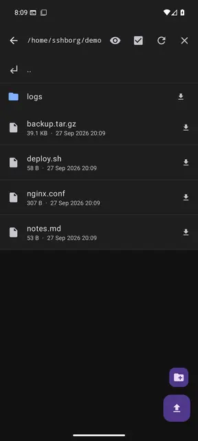 Screenshot 4 von SSHBorg