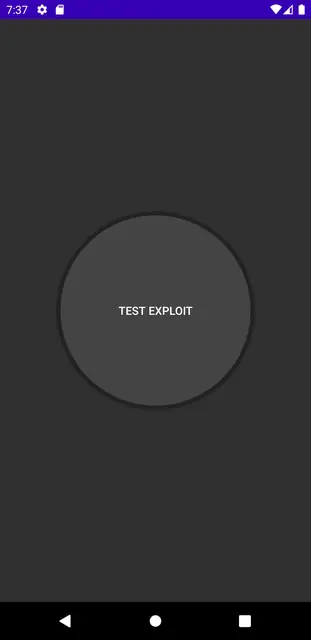Screenshot 1 of StartFlagExploit