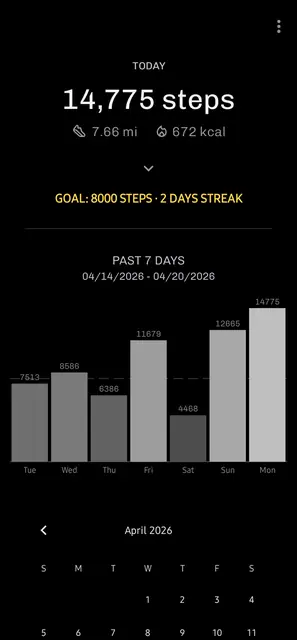 Screenshot 1 von Stepsy: Step Counter