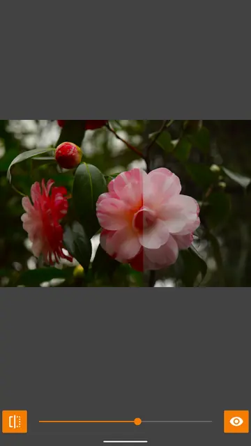 Screenshot 3 von VES - Image and Photo Compare