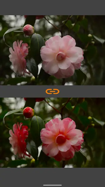 Screenshot 4 von VES - Image and Photo Compare