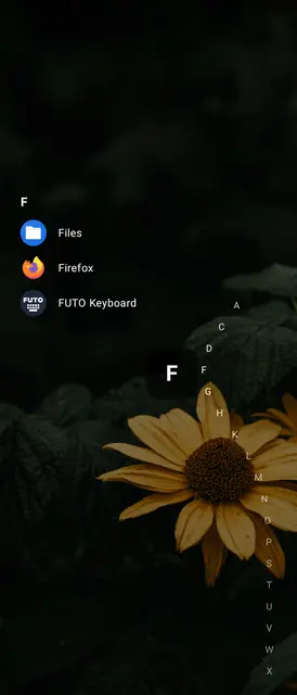 Screenshot 4 of Victoria Launcher