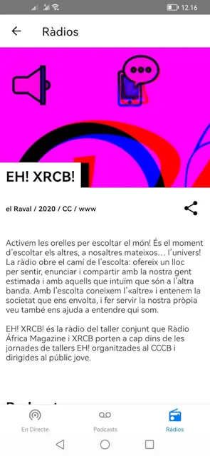 Screenshot 2 von XRCB