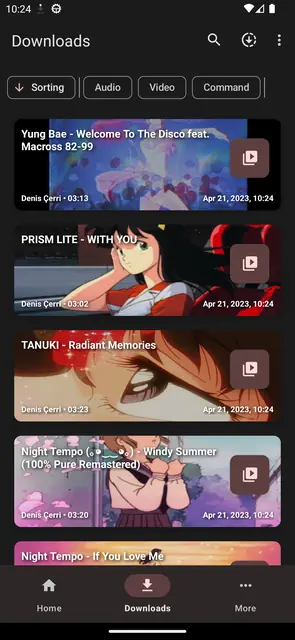 Screenshot 2 von YTDLnis