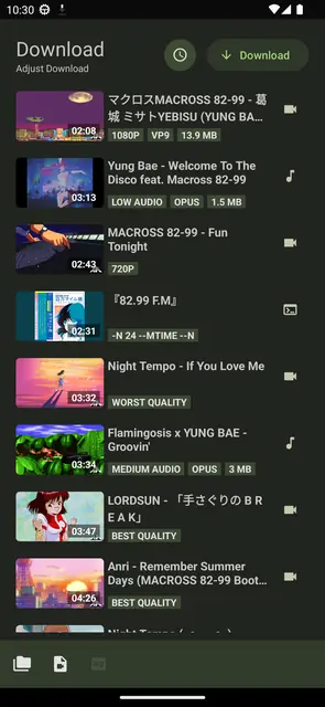 Screenshot 4 von YTDLnis